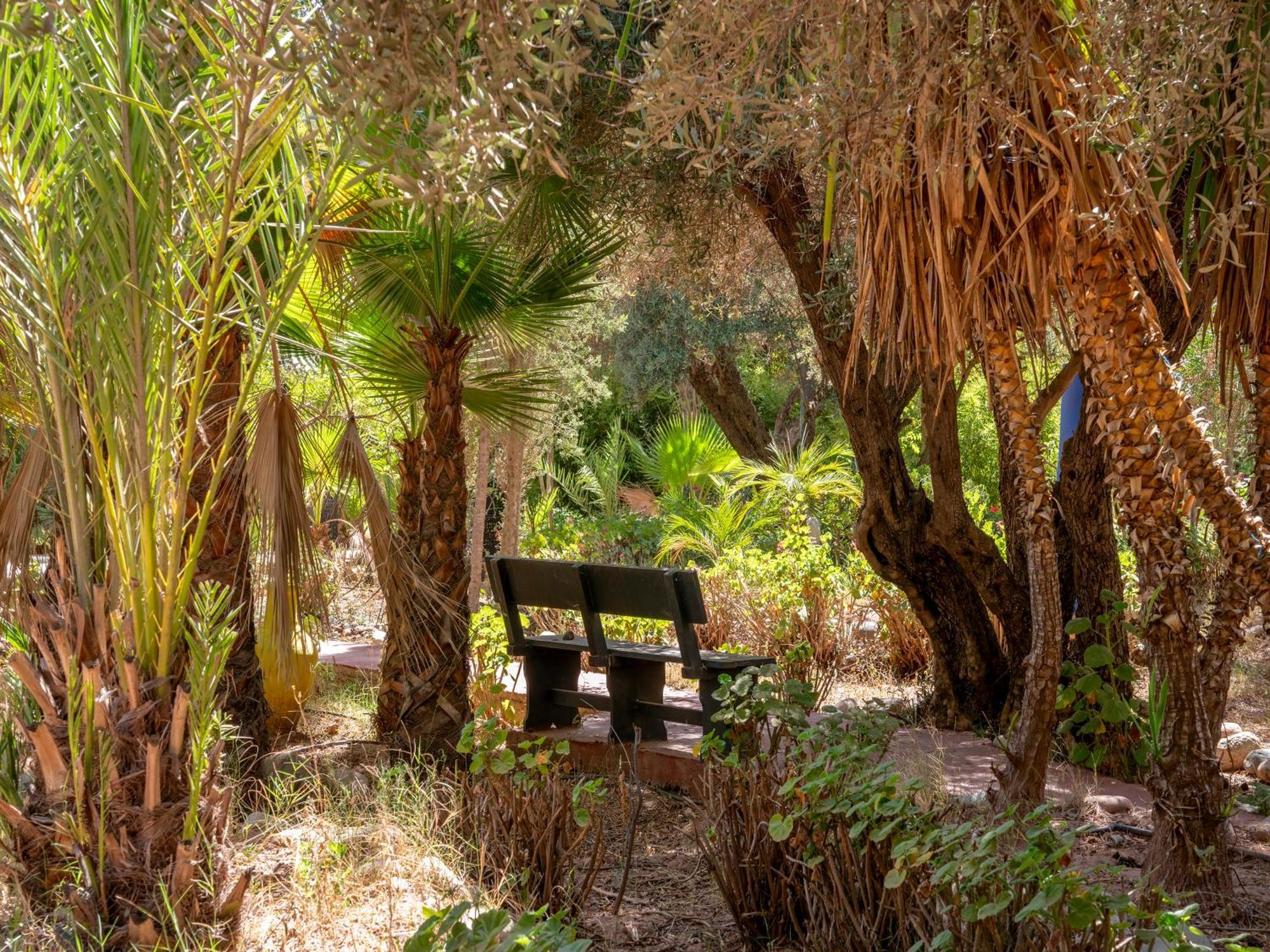Riad Cle De Sol El Jem'a Ghemat Exteriör bild
